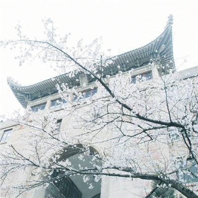 沙特王储：只要巴勒斯坦沒建国，就不会承认以色列