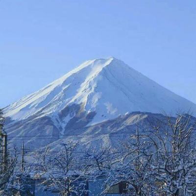 两条加强免疫路线并行，专家称已接种加强针人群不用进行序贯免疫