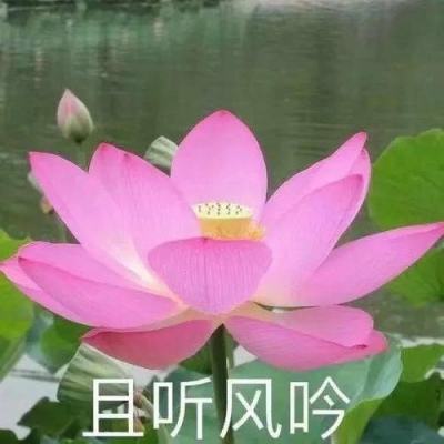 给秘境探险系牢安全责任绳