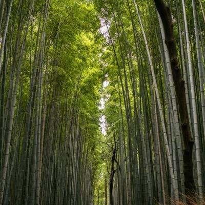 干部“画像”更立体